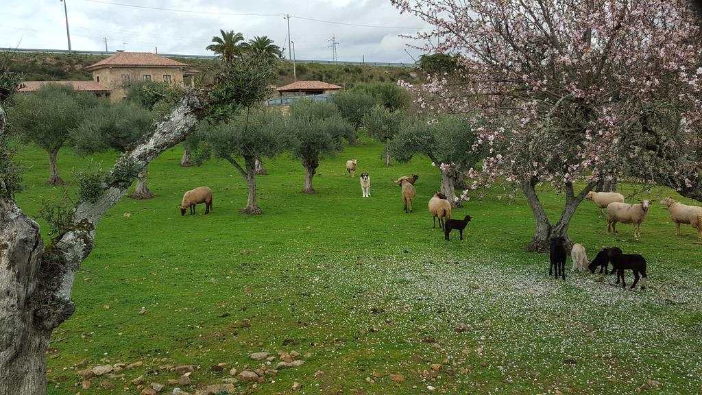 Quinta Das Pias - Holiday Farm Пинхел Екстериор снимка